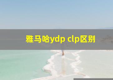 雅马哈ydp clp区别